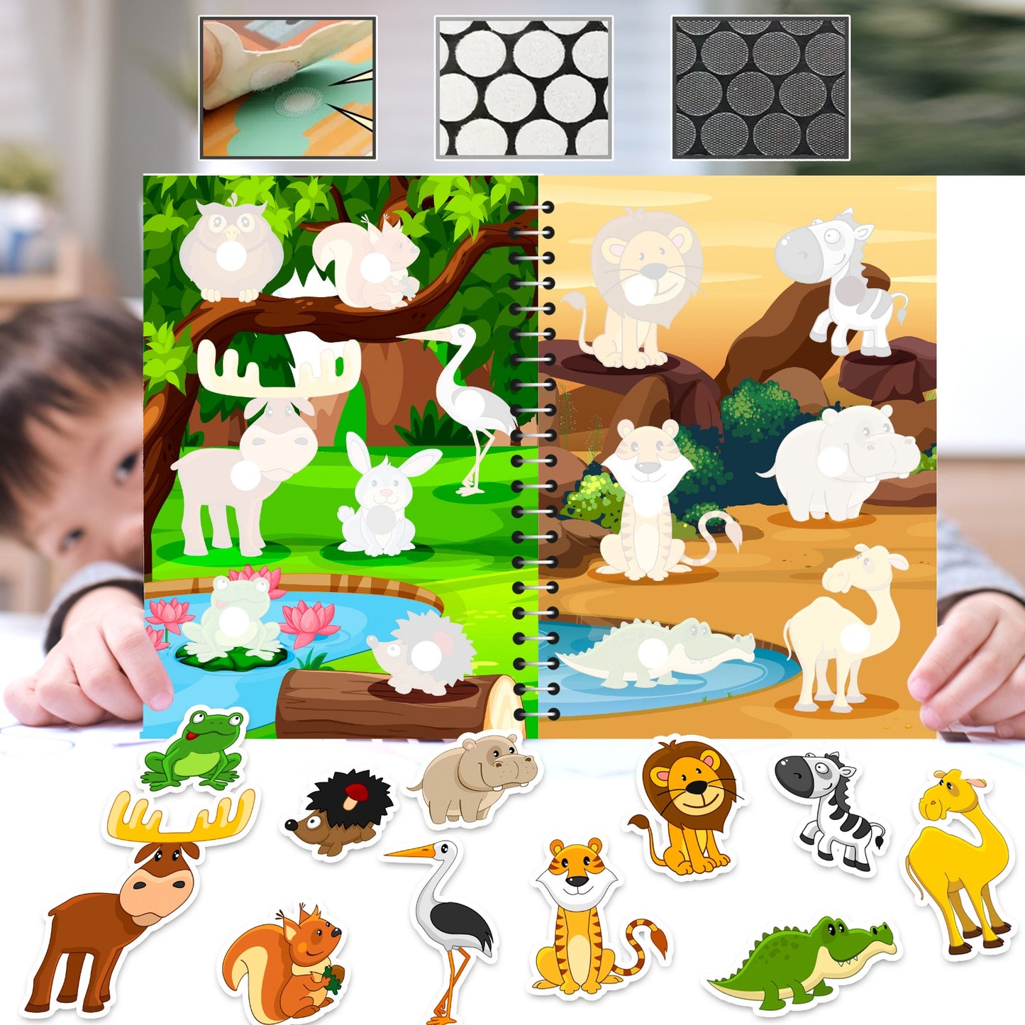Animal Kingdom Book